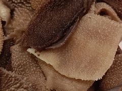 -鼎香缘海鲜自助火锅烤肉(锦辉购物广场店)