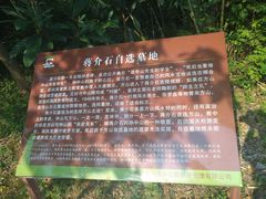 -南京市江宁方山