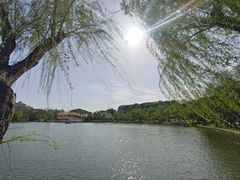 -大宁郁金香公园-停车场