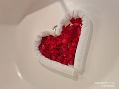 -三亚亚龙湾五号度假别墅酒店