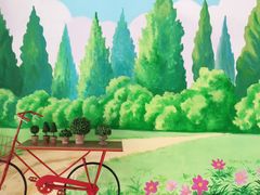 -黄海国家森林公园