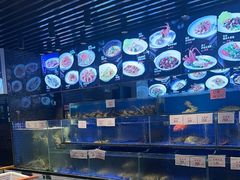 -绿华园休闲山庄