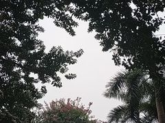 -广州雕塑公园