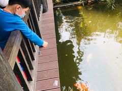 -枫香湖儿童公园