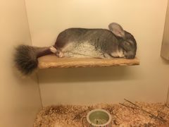 -龙猫仔乐园(惠福东路店)