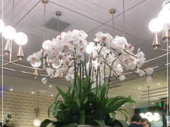 大堂-鹿港小镇(霄云店)