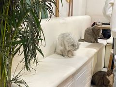 -小时光咖啡馆(北锣鼓巷店)