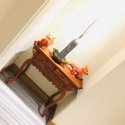 -苑苑发型设计