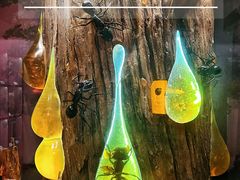 -正佳自然科学博物馆