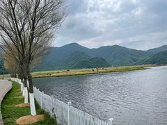 -大九湖