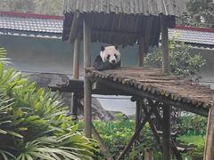 -柳州市动物园