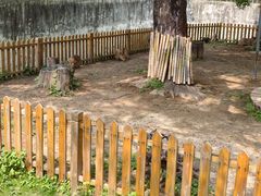 -合肥野生动物园
