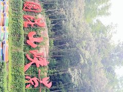 -大观园昆山峡漂流