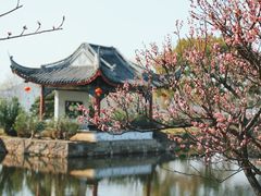 -无锡蠡湖国家湿地公园-蠡园