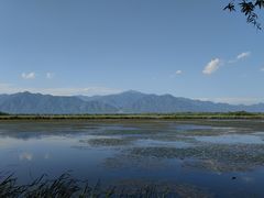 -野鸭湖国家湿地公园