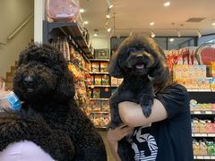 -萌兽医馆·眼科·异宠专科(三里屯店)