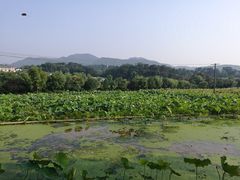 -韶山毛泽东同志故居