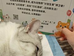 -守诺宠物医院·眼科· 特色牙科·异宠专科(虹口店)