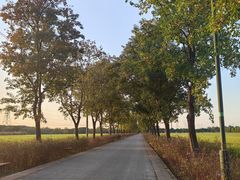 -嘉北郊野公园