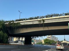 -南方迷宗大包(湖滨店)