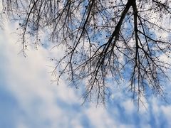 -朝阳公园