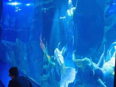 -多彩贵州城极地海洋世界