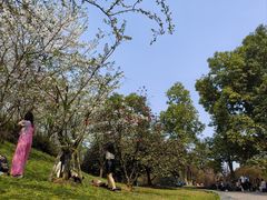 -南山植物园