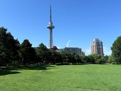 -龙塔