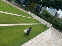 -万科前海企业公馆