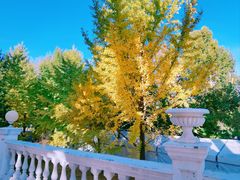 -朝阳公园