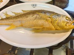 -吴记富苑(朝阳店)