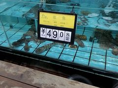 -海岛渔村大酒店(云霄路店)
