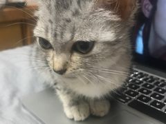 -美美宠物诊疗中心·异宠·骨科(滨江东信分院)