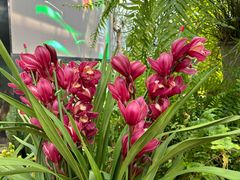 -国家植物园南园