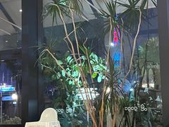 -gaga(深圳南山益田假日广场店)