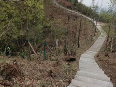 -长沙黑麋峰国家森林公园