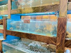 -佳丽海鲜大酒楼(环岛海景店)