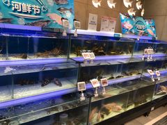 水产区-盒马鲜生(联投广场店)