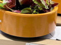 -龍歌自助小火锅(城阳万象汇店)