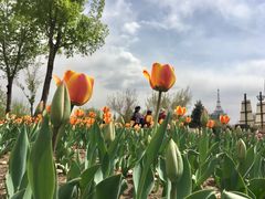 -长春公园(普阳街道)