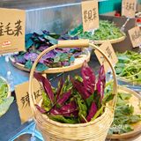 新开的！便宜又好吃的贵州酸汤牛肉火锅，野菜自助吃！！！