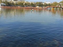 -月牙潭公园