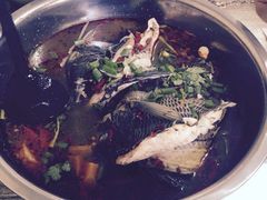 风鑫铃罗非鱼-风鑫铃罗非鱼(道沟店)