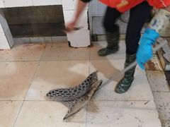 -杨林闻老三酸菜鱼(总店)