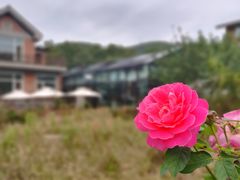 -大连北马山庄