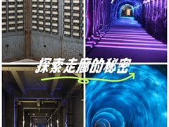 -816工程景区