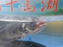-四季厨房 鲁菜·孔府烤鸭(高新万达店)