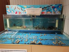 -犇鼎牛潮汕牛肉火锅(新辰里学清路店)