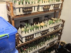-菌极鲜野生菌火锅店(阳明祠店)