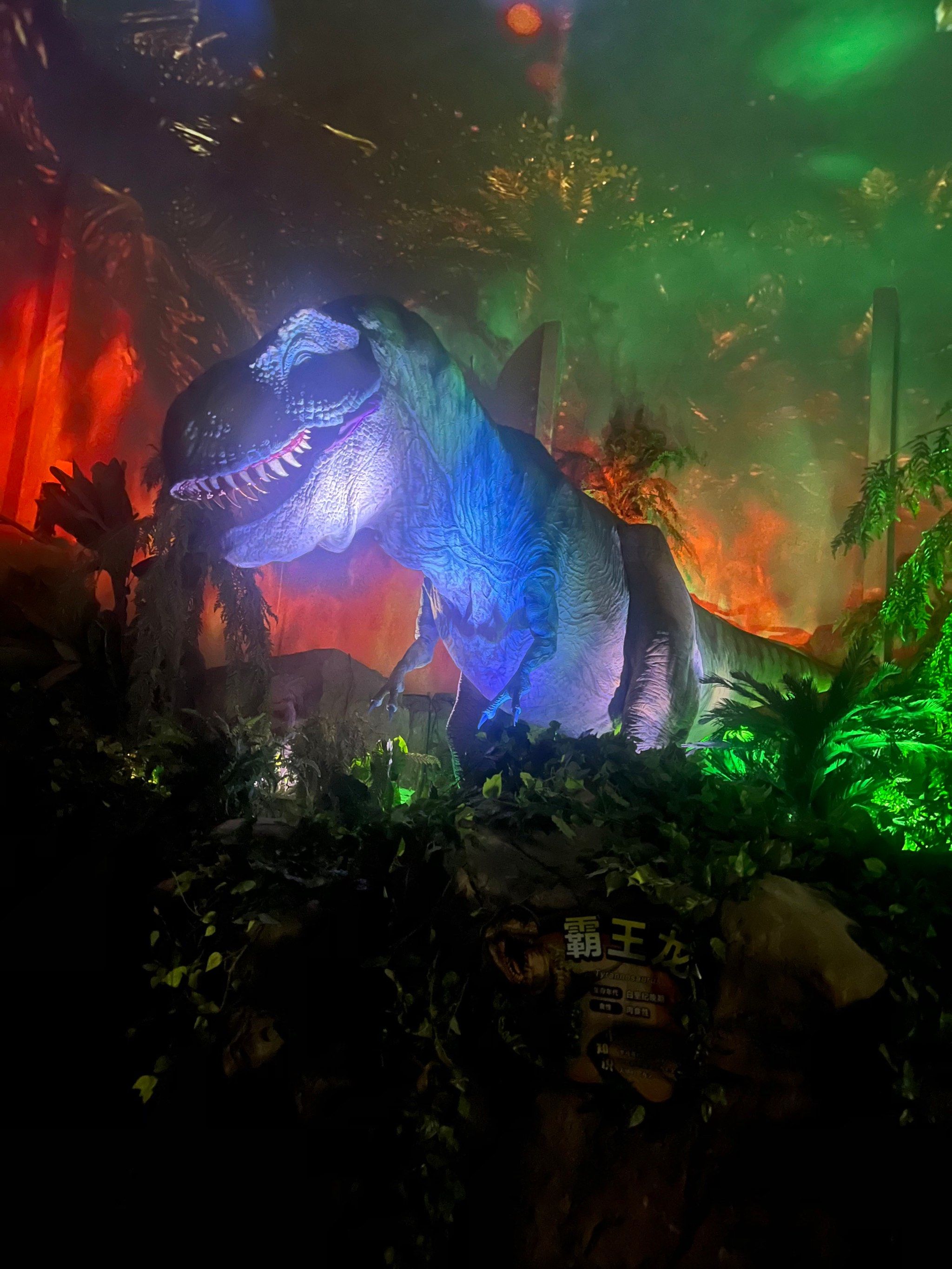 长隆的霸王龙也太逼真了吧[点赞][点赞][点赞]#天天领红包#0元玩转这